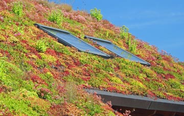 New Thirsk living roof systems